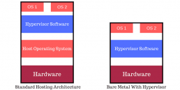 type 1 bare metal hypervisor vs standard hosting