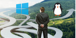 Linux vs. Microsoft Windows Servers decision when setting up hosting