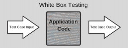 diagram of white box testing application code