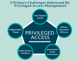 chart of Privileged Access security challenges