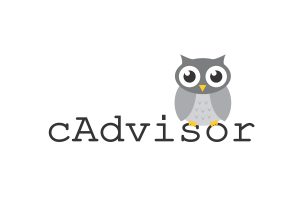 cadvisor tool for monitoring resource usage and performance